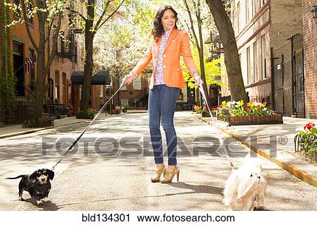 Mixed race woman walking dogs on city street View Large Photo Image Stock Image - Mixed race woman walking dogs on city street. Fotosearch
