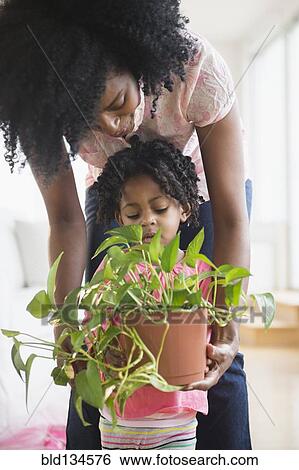 Mother and daughter carrying plant together View Large Photo Image Stock Photograph - Mother and daughter carrying plant together. Fotosearch