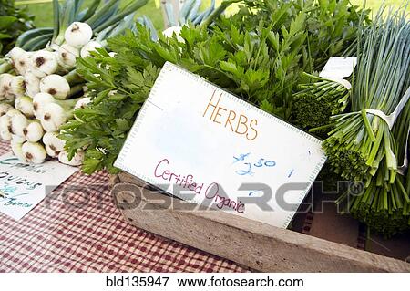 Stock Photo - Organic herbs for sale in market. Fotosearch
