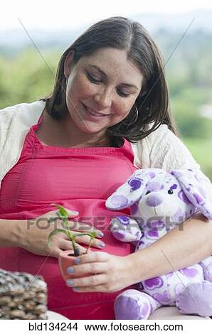 Pregnant Hispanic woman seedling in pot View Large Photo Image Picture - Pregnant Hispanic woman seedling in pot. Fotosearch