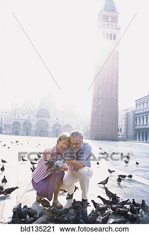 Senior couple feeding pigeons in St. Mark's Square, Venice, Veneto, Italy View Large Photo Image Stock Image - Senior couple feeding pigeons in St. Mark's Square, Venice, Veneto, Italy. Fotosearch
