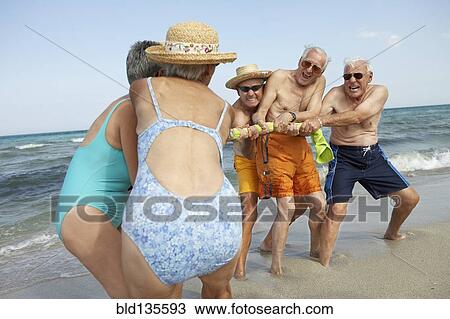Senior friends playing tug-of-war on beach View Large Photo Image Stock Image - Senior friends playing tug-of-war on beach. Fotosearch