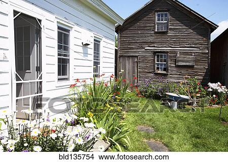 Picture - Shed and flowerbeds in backyard. Fotosearch