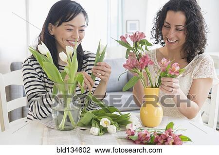Women arranging flowers together View Large Photo Image Stock Image - Women arranging flowers together. Fotosearch