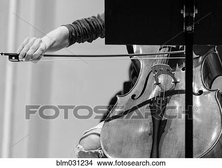 Caucasian student playing cello in college orchestra View Large Photo Image Picture - Caucasian student playing cello in college orchestra. Fotosearch