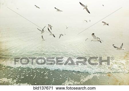 Stock Image - Birds flying over waves on beach. Fotosearch
