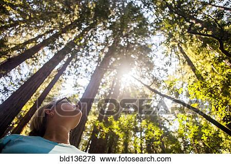 Stock Photo - Caucasian woman standing in sunny forest. Fotosearch