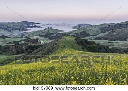 Stock Photo - Rolling landscape viewed from grassy hilltop. Fotosearch