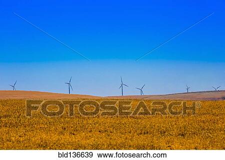 Stock Photo - Wind turbines in rural landscape. Fotosearch