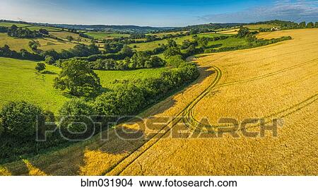 Picture - Aerial view of fields in rural countryside. Fotosearch