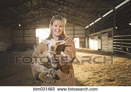 Stock Image - Caucasian farmer holding lamb in barn. Fotosearch