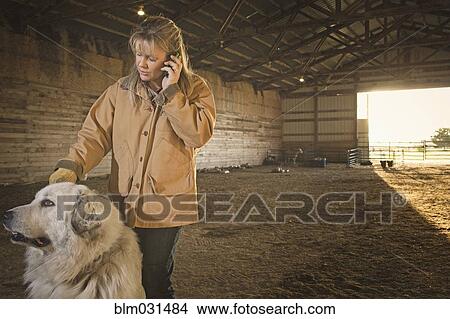 Caucasian farmer talking on cell phone in barn View Large Photo Image Picture - Caucasian farmer talking on cell phone in barn. Fotosearch