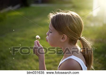 Stock Photography - Caucasian girl blowing seeds off dandelion. Fotosearch