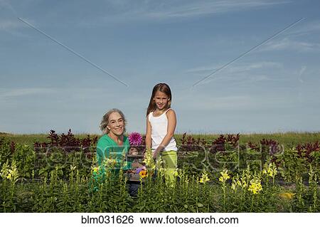 Stock Photograph - Caucasian grandmother and granddaughter picking flowers on farm. Fotosearch