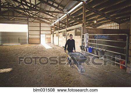 Stock Photo - Mixed race boy pushing wheelbarrow in barn. Fotosearch