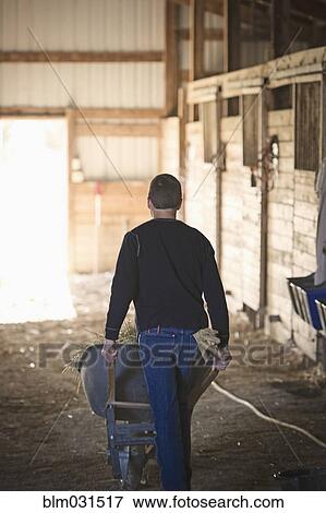 Mixed race boy pushing wheelbarrow in barn View Large Photo Image Stock Photo - Mixed race boy pushing wheelbarrow in barn. Fotosearch