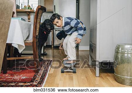 Mixed race boy riding skateboard in kitchen View Large Photo Image Stock Photograph - Mixed race boy riding skateboard in kitchen. Fotosearch