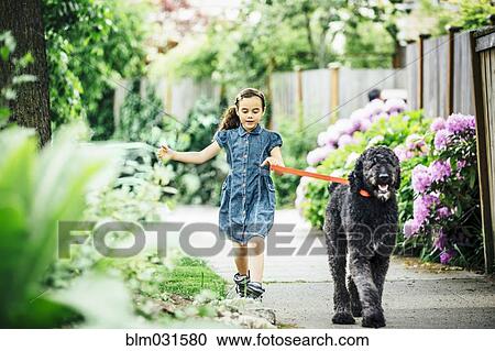 Stock Image - Mixed race girl walking dog on suburban sidewalk. Fotosearch