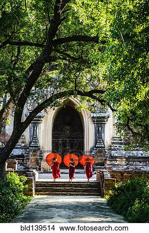 Asian Buddhist monks carrying umbrellas on staircase at Hsinbyume Pagoda, Mandalay, Sagaing, Myanmar View Large Photo Image Picture - Asian Buddhist monks carrying umbrellas on staircase at Hsinbyume Pagoda, Mandalay, Sagaing, Myanmar. Fotosearch