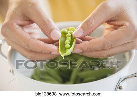 Stock Photo - Close up of mixed race man shucking peas into colander. Fotosearch