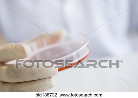Stock Image - Close up of mixed race scientist holding Petri dish. Fotosearch