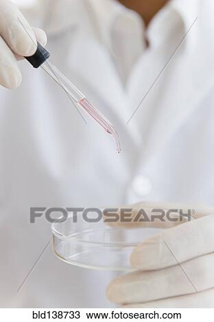 Stock Image - Close up of mixed race scientist dropping liquid into Petri dish. Fotosearch