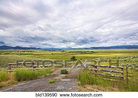Dirt road in field in rural landscape View Large Photo Image Stock Image - Dirt road in field in rural landscape. Fotosearch