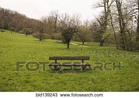 Stock Image - Empty bench in rural park. Fotosearch