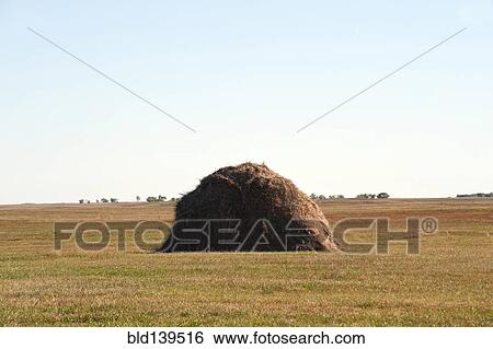 Stock Photograph - Large hay stack in rural crop field. Fotosearch