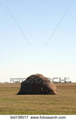 Large hay stack in rural field View Large Photo Image Stock Photo - Large hay stack in rural field. Fotosearch