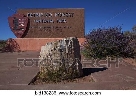 Petrified stump in front of Petrified Forest National Park sign, Arizona, United States View Large Photo Image Stock Photograph - Petrified stump in front of Petrified Forest National Park sign, Arizona, United States. Fotosearch