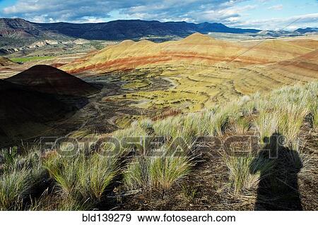Shadow of photographer photographing painted hills in desert landscape, Bend, Oregon, United States View Large Photo Image Stock Photo - Shadow of photographer photographing painted hills in desert landscape, Bend, Oregon, United States. Fotosearch