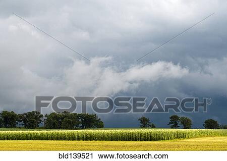 Storm clouds over rural landscape View Large Photo Image Stock Image - Storm clouds over rural landscape. Fotosearch