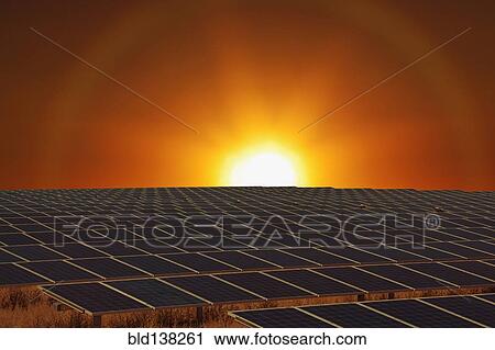 Sunset over field of solar panels View Large Photo Image Stock Image - Sunset over field of solar panels. Fotosearch