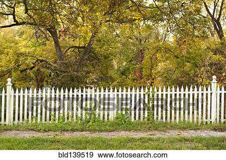 Stock Photo - White picket fence at woods edge. Fotosearch