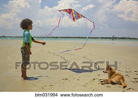 Mixed race boy flying kite on beach View Large Photo Image Picture - Mixed race boy flying kite on beach. Fotosearch