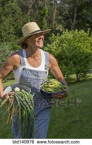 Stock Photo - Caucasian woman harvesting vegetables from garden. Fotosearch