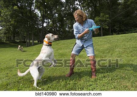 Caucasian woman playing with dog in park View Large Photo Image Stock Image - Caucasian woman playing with dog in park. Fotosearch