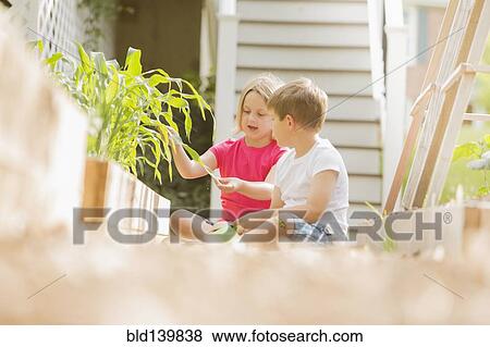 Stock Photo - Children gardening together in backyard. Fotosearch