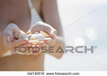 Close up of Caucasian woman holding seashells at beach View Large Photo Image Stock Photograph - Close up of Caucasian woman holding seashells at beach. Fotosearch