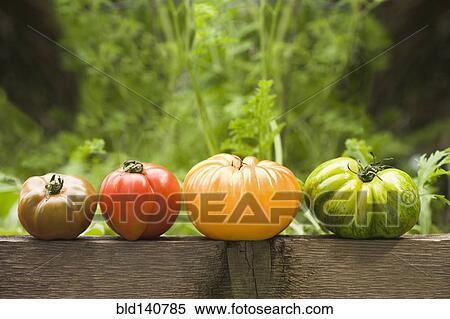 Stock Photography - Colorful heirloom tomatoes on banister outdoors. Fotosearch