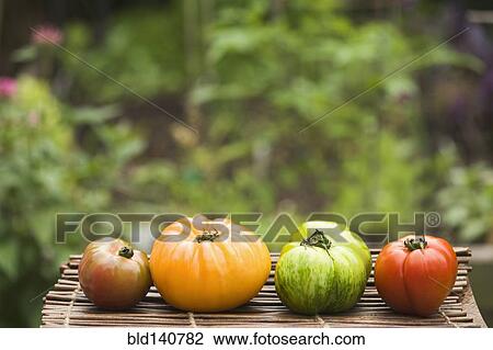 Colorful heirloom tomatoes on table outdoors View Large Photo Image Stock Image - Colorful heirloom tomatoes on table outdoors. Fotosearch