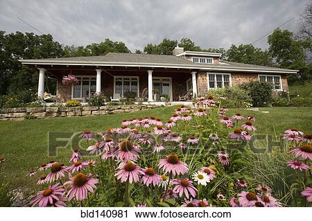 Stock Image - Flowers growing in front lawn of house. Fotosearch