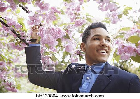 Picture - Man in suit walking under flowering tree. Fotosearch