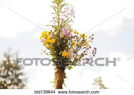 Mari boy holding up bouquet of flowers outdoors View Large Photo Image Picture - Mari boy holding up bouquet of flowers outdoors. Fotosearch
