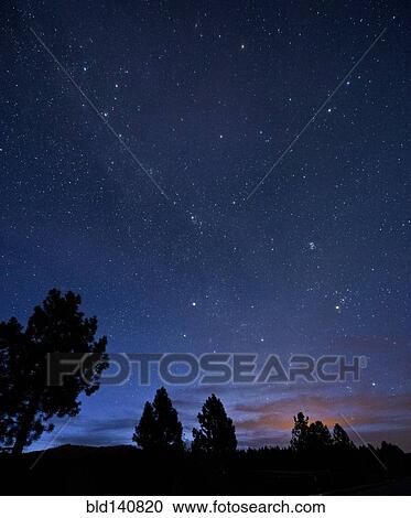 Stock Image - Silhouette of trees under starry night sky. Fotosearch