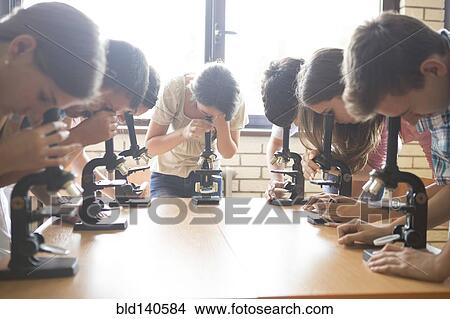Picture - Students using microscopes in science class. Fotosearch