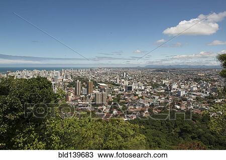 Trees overlooking Vitoria cityscape, Santo, Brazil View Large Photo Image Stock Image - Trees overlooking Vitoria cityscape, Santo, Brazil. Fotosearch