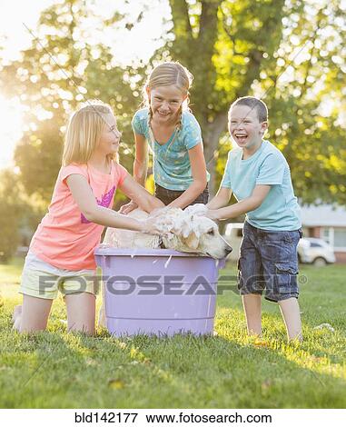 Stock Photo - Caucasian children washing pet dog in backyard. Fotosearch