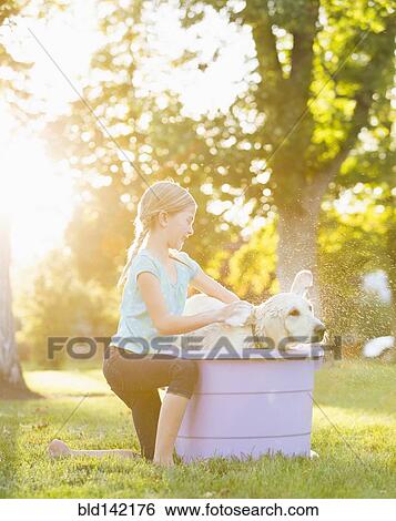 Stock Photograph - Caucasian girl washing pet dog in backyard. Fotosearch